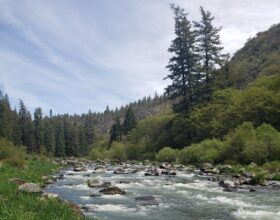 Klamath River Thermal Studies for Protection and Enhancement of Cold-water Habitat for Salmonids