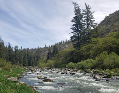 Klamath River Thermal Studies for Protection and Enhancement of Cold-water Habitat for Salmonids