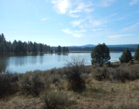 Spencer Creek Spawning Habitat Protection