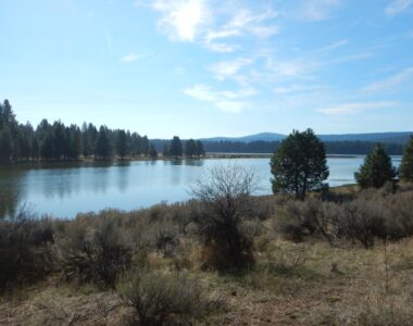 Spencer Creek Spawning Habitat Protection
