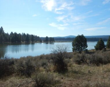 Spencer Creek Spawning Habitat Protection