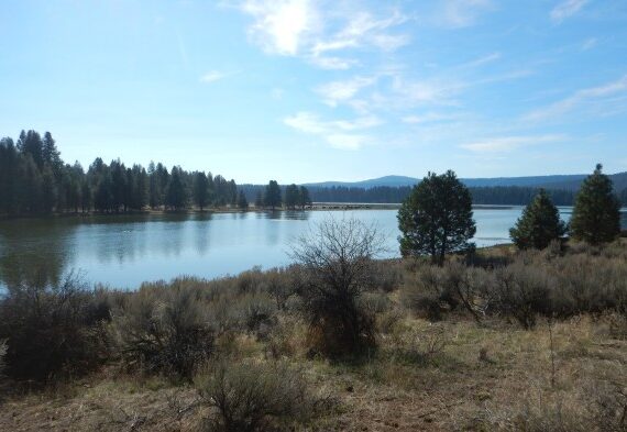 Spencer Creek Spawning Habitat Protection