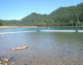 Water Quality Monitoring for Public Health – Lewis River, WA