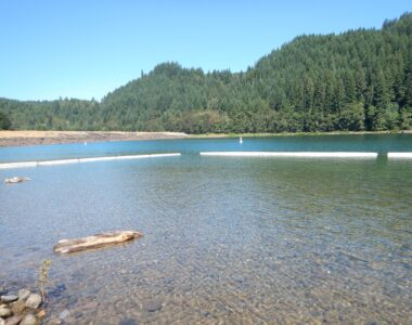 Water Quality Monitoring for Public Health – Lewis River, WA
