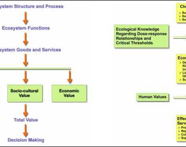 Ecosystem Services