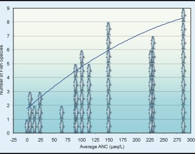 National Ambient Air Quality Standards (NAAQS)
