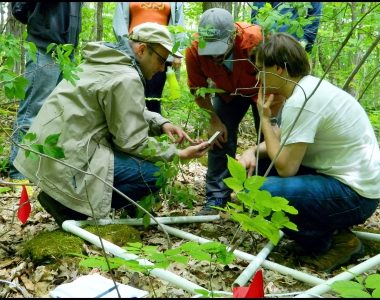 Biodiversity Modeling in the Southern Appalachian Mountains