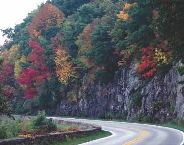 Outreach Publication on Air Pollution Effects on National Park Resources