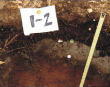 Acidification Effects Modeling