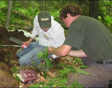 Effects of Air Pollution on Sugar Maple Health, Growth, and Regeneration