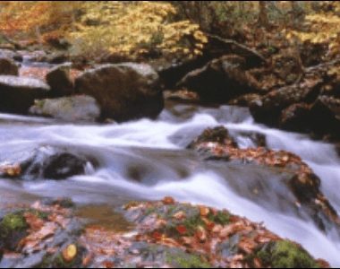 Watershed Assessments