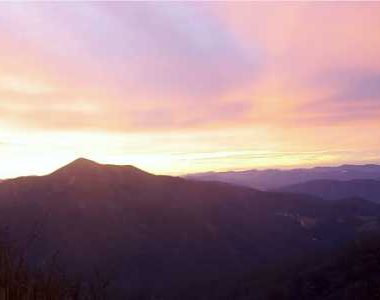 Critical Loads in National Forests