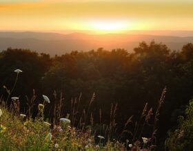 Outreach Publication on Air Pollution Effects on National Park Resources