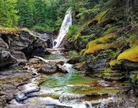 Watershed Assessments