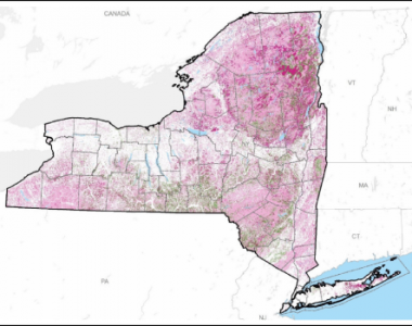 New York State Greenhouse Gas Sources and Sinks Associated with Natural and Working Lands