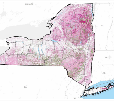 New York State Greenhouse Gas Sources and Sinks Associated with Natural and Working Lands
