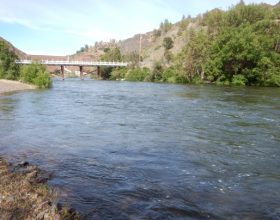 Klamath River Water Quality Monitoring 2020