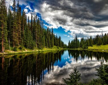 Nitrogen Deposition Model Comparison for the United States and National Parks