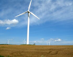 Wildlife Monitoring for Wind Energy Projects