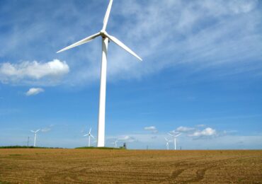 Wildlife Monitoring for Wind Energy Projects