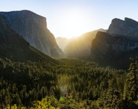 Effects of Climate Change and Nutrient Enrichment on Forest Understory Vegetation Communities in U.S. National Parks